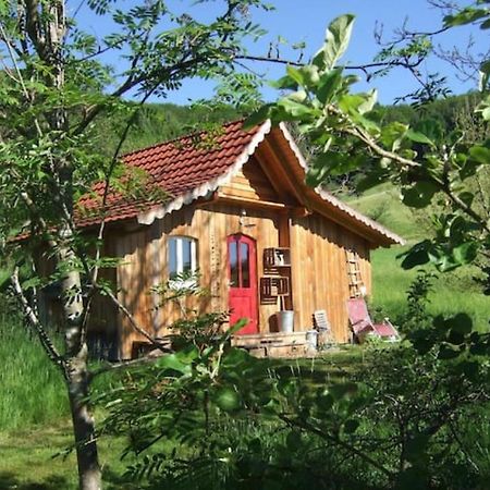 Sonniges-Naturnahes-Schwarzwald-Ferienhaeuschen Welschensteinach Eksteriør billede