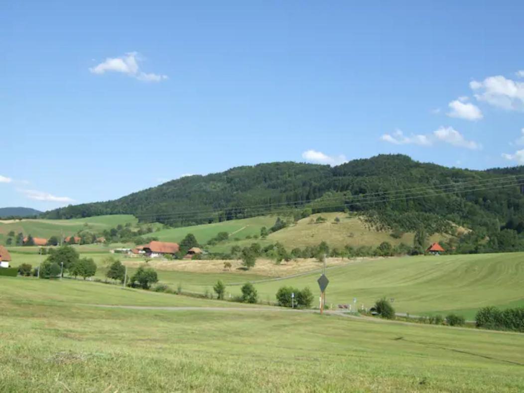 Sonniges-Naturnahes-Schwarzwald-Ferienhaeuschen Welschensteinach Eksteriør billede