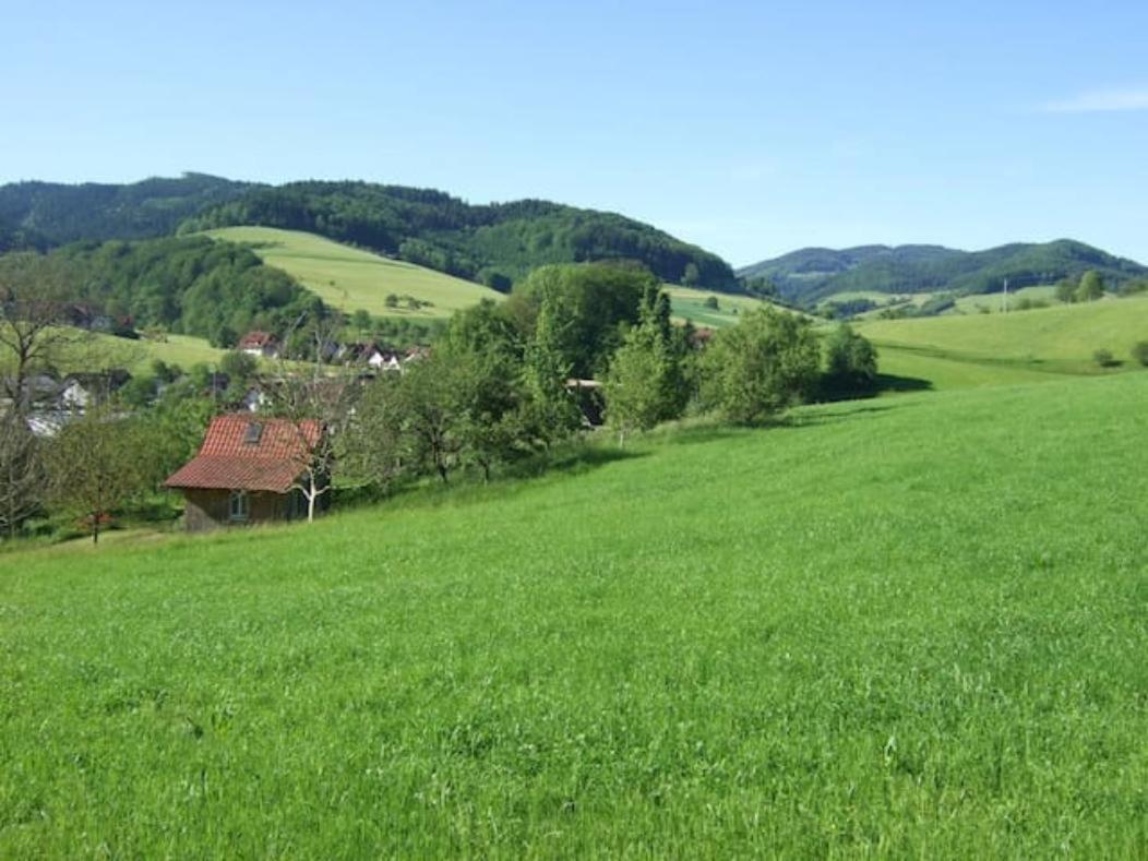Sonniges-Naturnahes-Schwarzwald-Ferienhaeuschen Welschensteinach Eksteriør billede